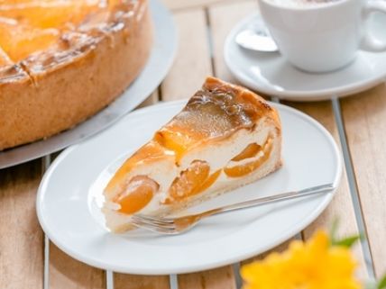 Aprikosen-Käsekuchen